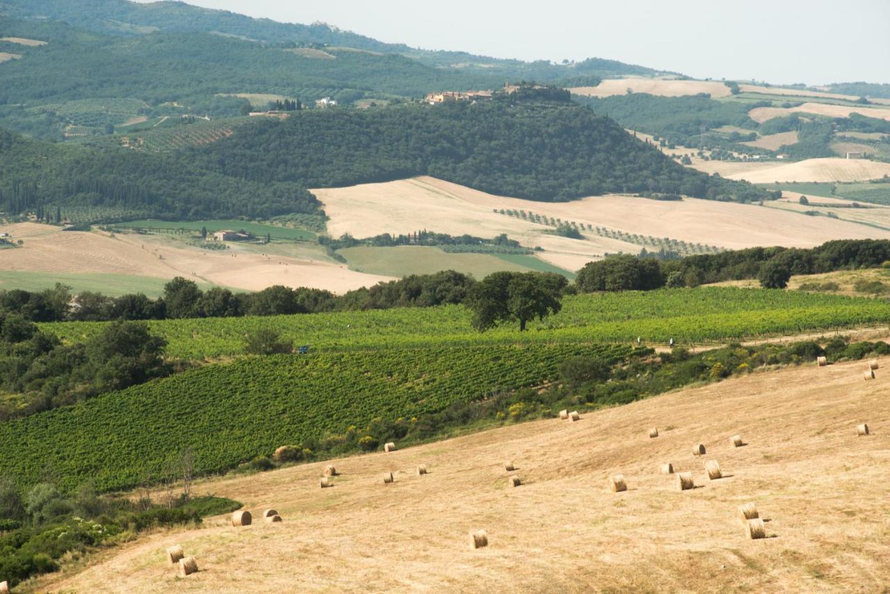 Willa Luce Di Vino Montalcino Zewnętrze zdjęcie